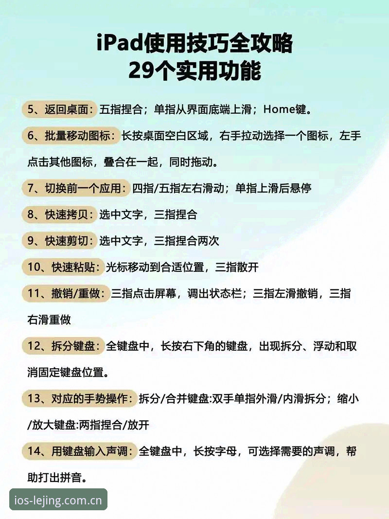 乐竞使用教程对比 乐竞体育平台使用教程对比完整指南:从下载到实战的操作解析